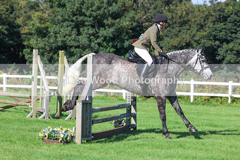 3E7A7773 - Class 2: Open Working Hunter pony