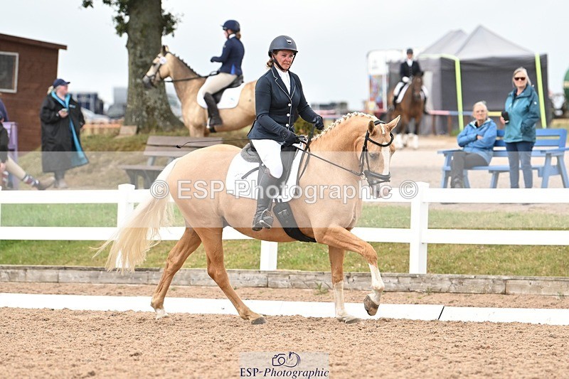 250705-175527-02683 - N1 Section BDNOV1 1350 to 15.28