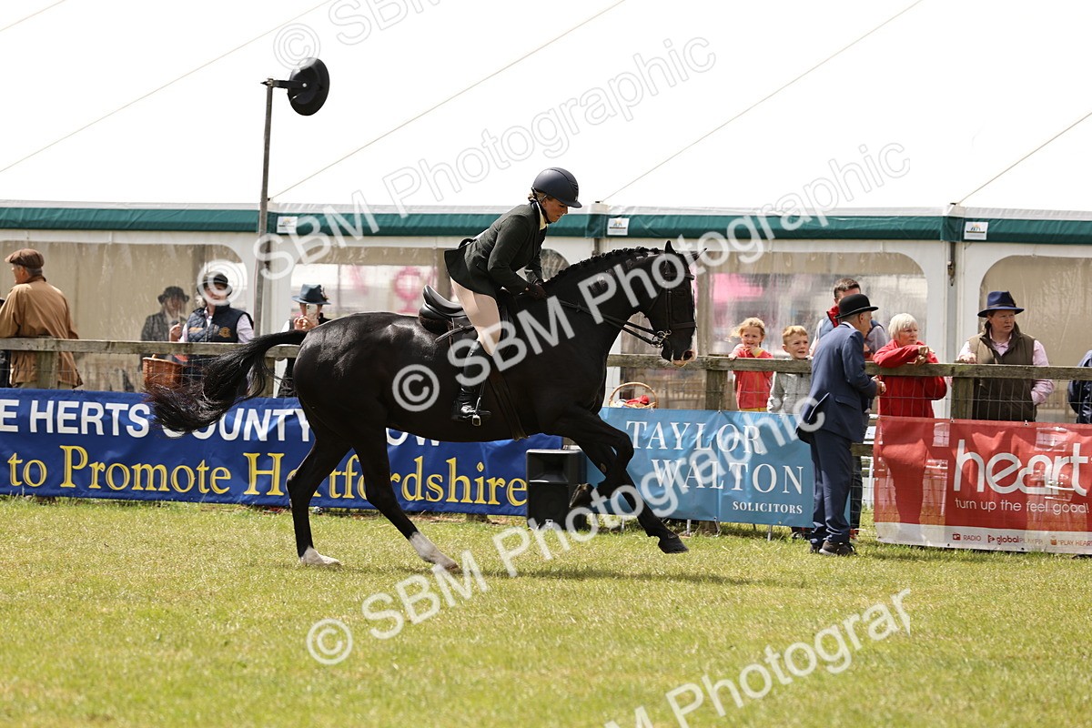 SBM_14582 - Class 88-89 - LIHS BSHA Rising Star of Ridden Hunter Type