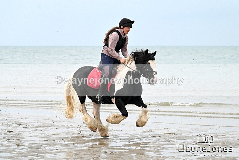 WJ7_9075 - Hayling Island Beach Shoot 22-09-24