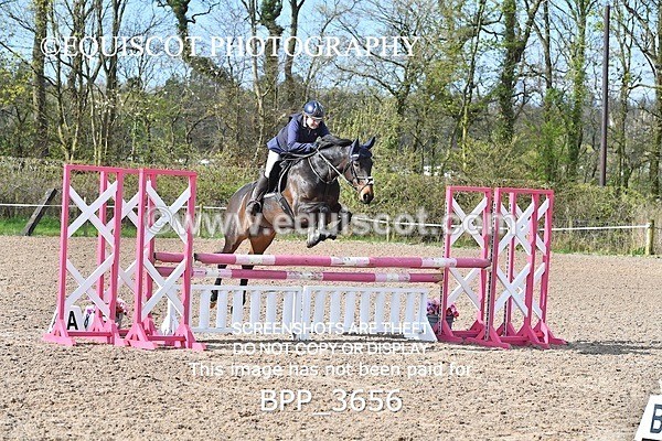 BPP_3656 - CLASS 2 FRI Club/ Unaffiliated 90cms Open