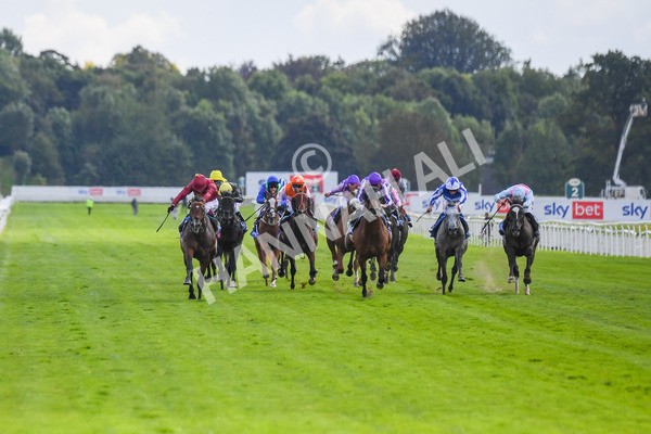 260823-Race 2-Middle Earth-0313 - Race 2 Sky Bet Melrose Handicap