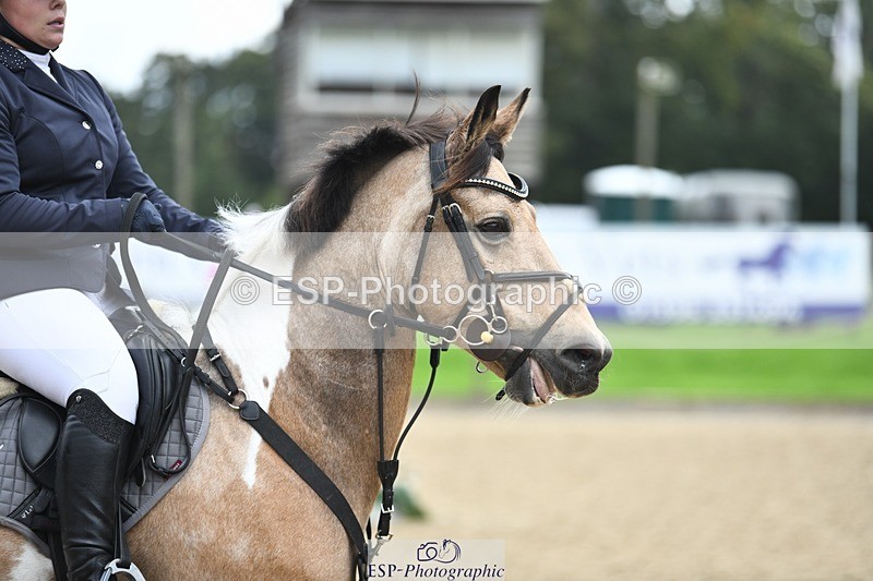 231001-144822-03006 - Cls 3 90cm