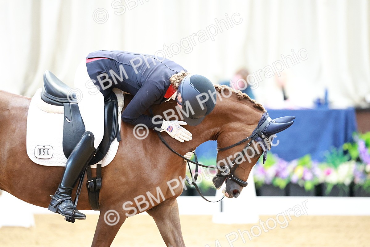 SBM_017206 - Class15 - FEI Pony
