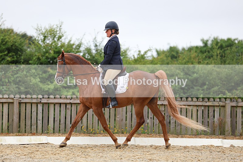 3E7A7894 - Class 1: Intro 3 2024 section A