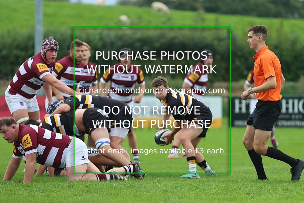 IMG_4305 - Kendal Rugby (7/9/24)