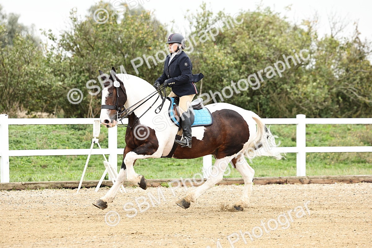 SBM_006316 - Class 74 - 85cm