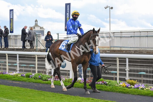 yr22052021r7-19 - Race 7 5.25pm Hudson Quarter York Palace Capital Stakes - Gentleman Amateur Riders Race