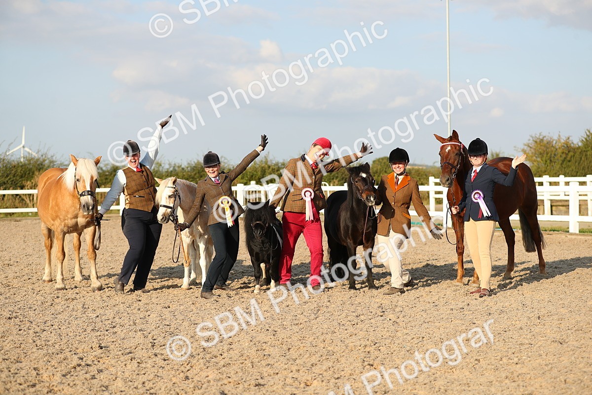 SBM_09179 - Class 29 IH Veteran Pony