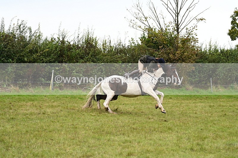 WJ7_4193 - Camera 1 Line 2