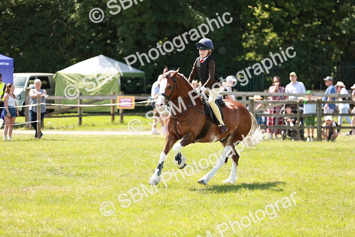 SBM_15598 - Class 108-109 - BSPS LIHS Open Gradle & Nursery Stakes
