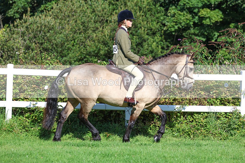 3E7A7819 - Class 2: Open Working Hunter pony