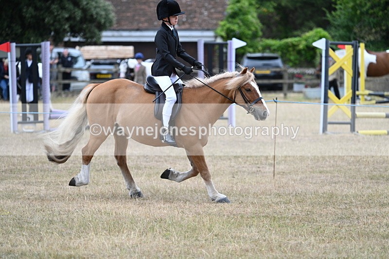 WJ7_7186 - Class 2 Best Rider