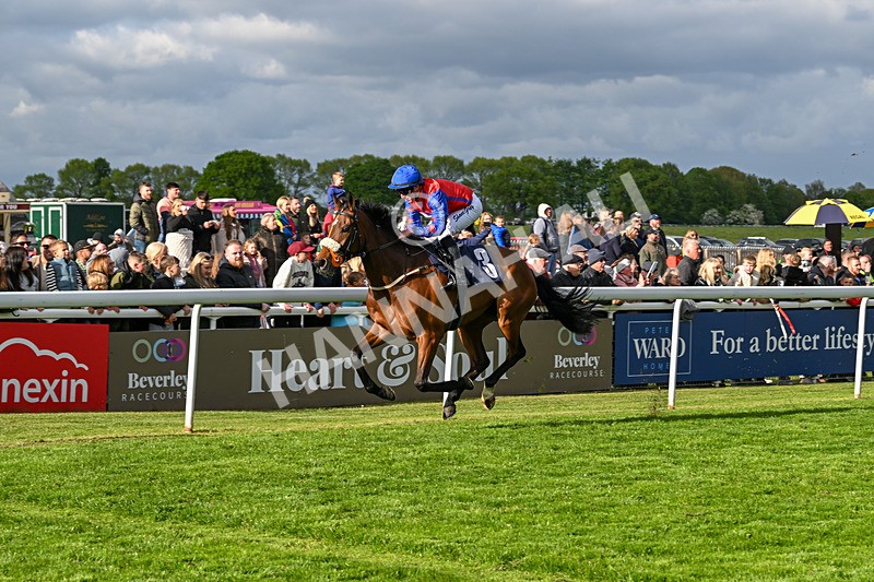 050525-Race 7-Spring Chorus-5585 - Race 7