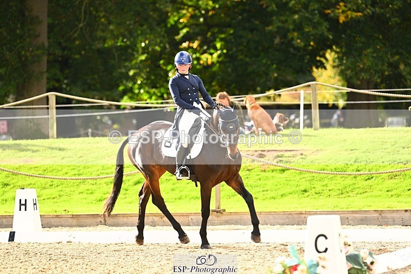 231020-142234-09928 - 307-WELLAN.GRAFFITI-Molly.Evans-DR