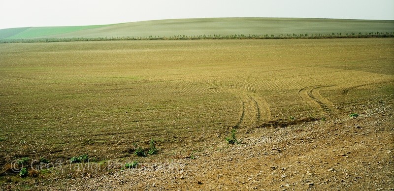 Huntingland Farm - A Rural Landscape