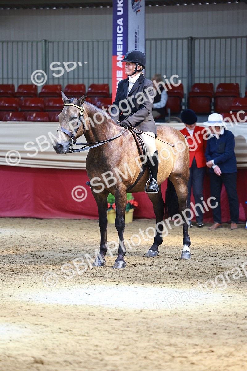 SBM_23943 - Class 905 - Supreme Final - Ridden Veteran
