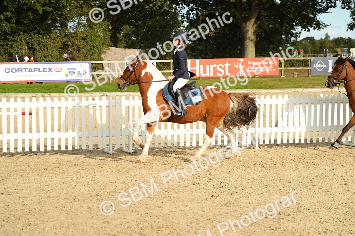 SBM_51775 - J7 - Junior Pony 60cm Championship