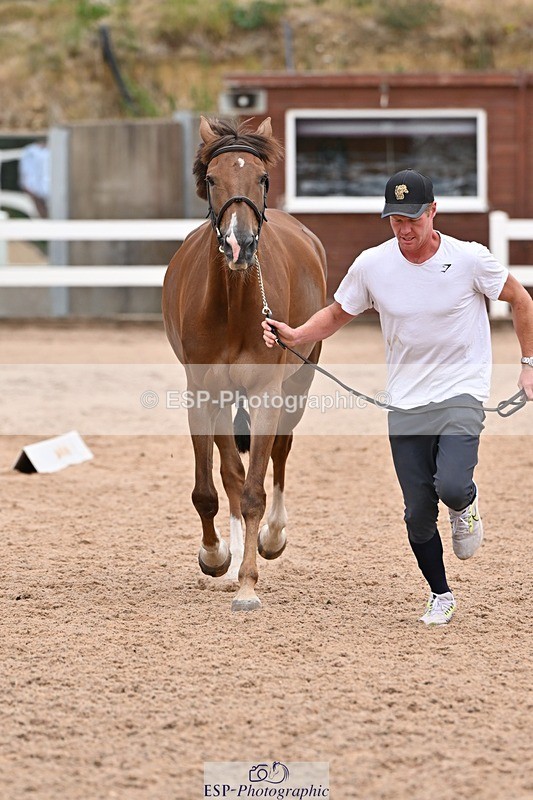 250716-143258-01194 - Trot Up 2.30 to 3.30