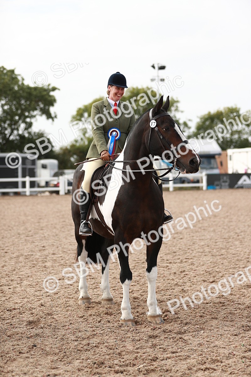 SBM_16825 - Class 214 Ridden Cob