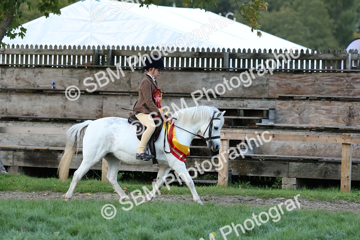 SBM_53441 - Super Supreme Championship (Sat)