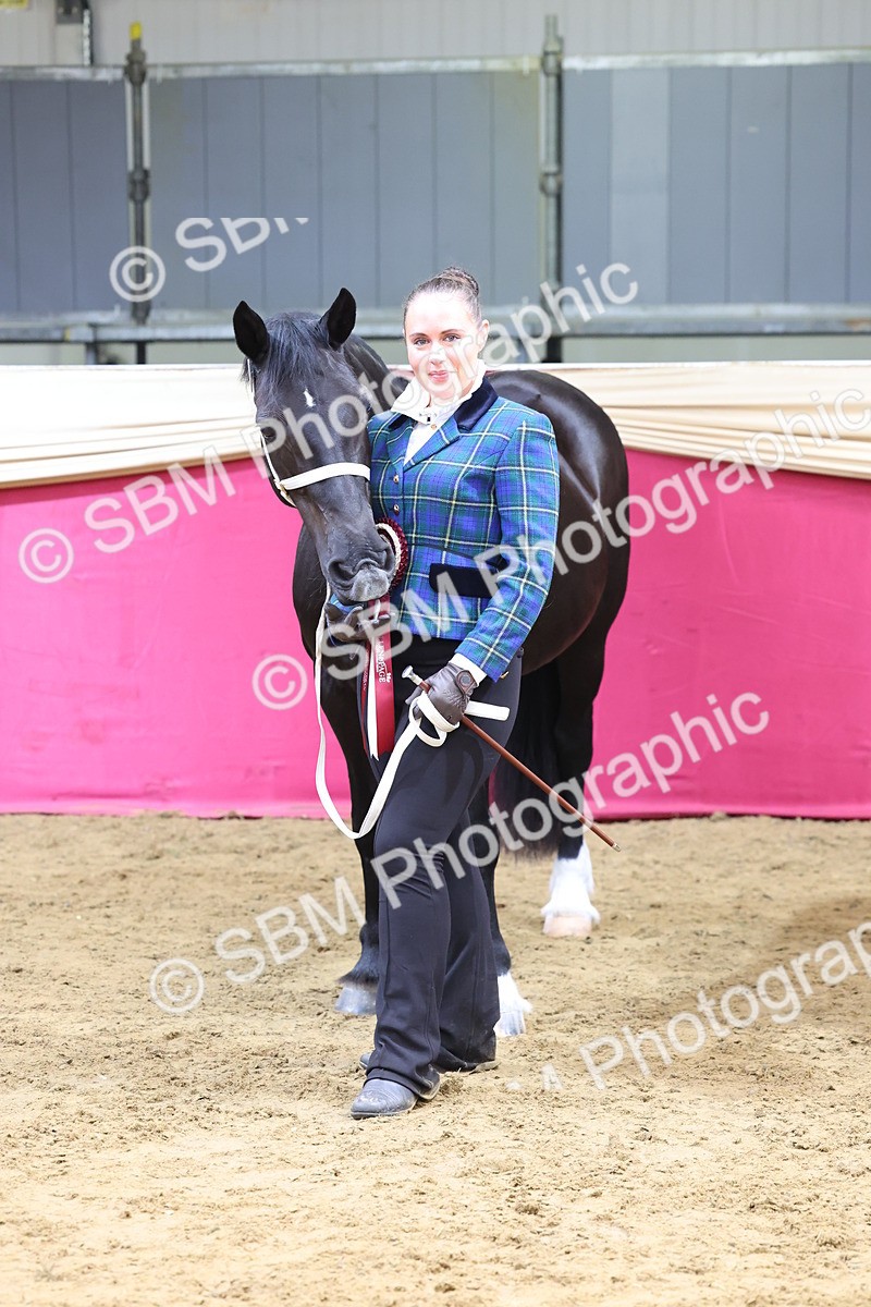 SBM_22967 - Class 903 - Supreme Final - IH Pre Vet