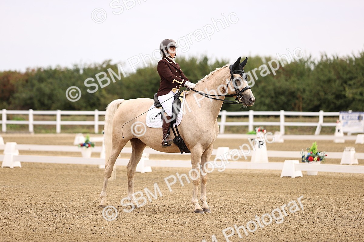 SBM_011503 - Class 1 - Medium 5