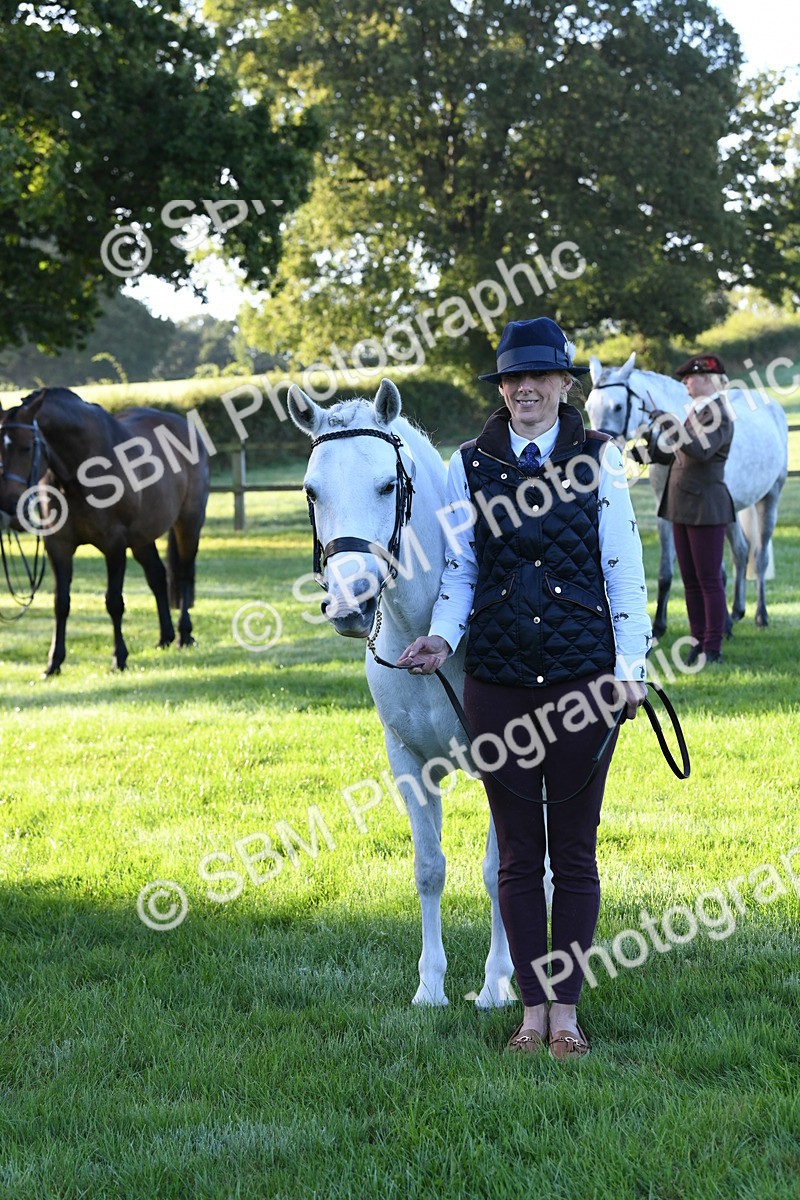 SBM_32699 - S15 - Condition & Turnout In Hand
