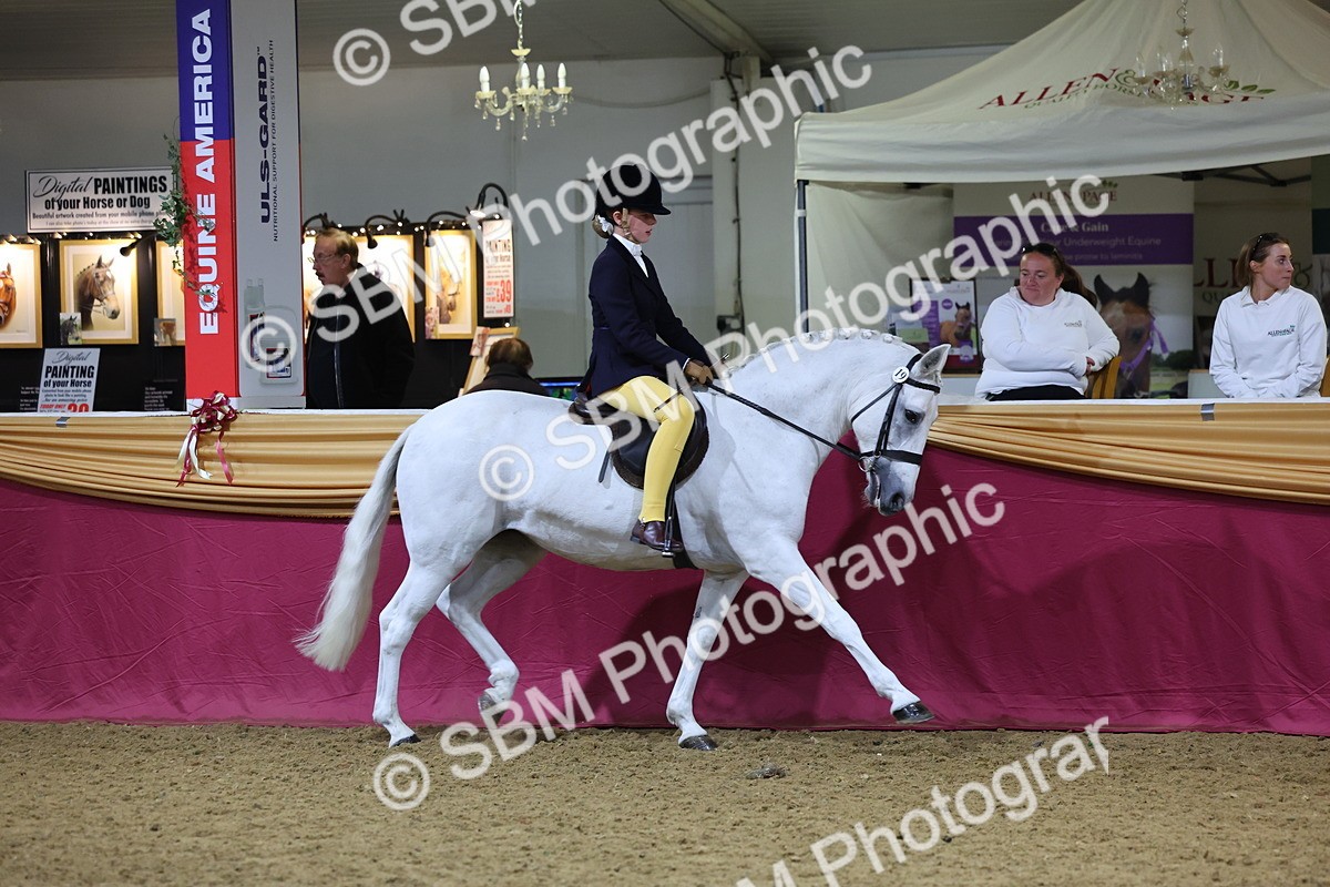 SBM_19286 - Class K Equitation Champ
