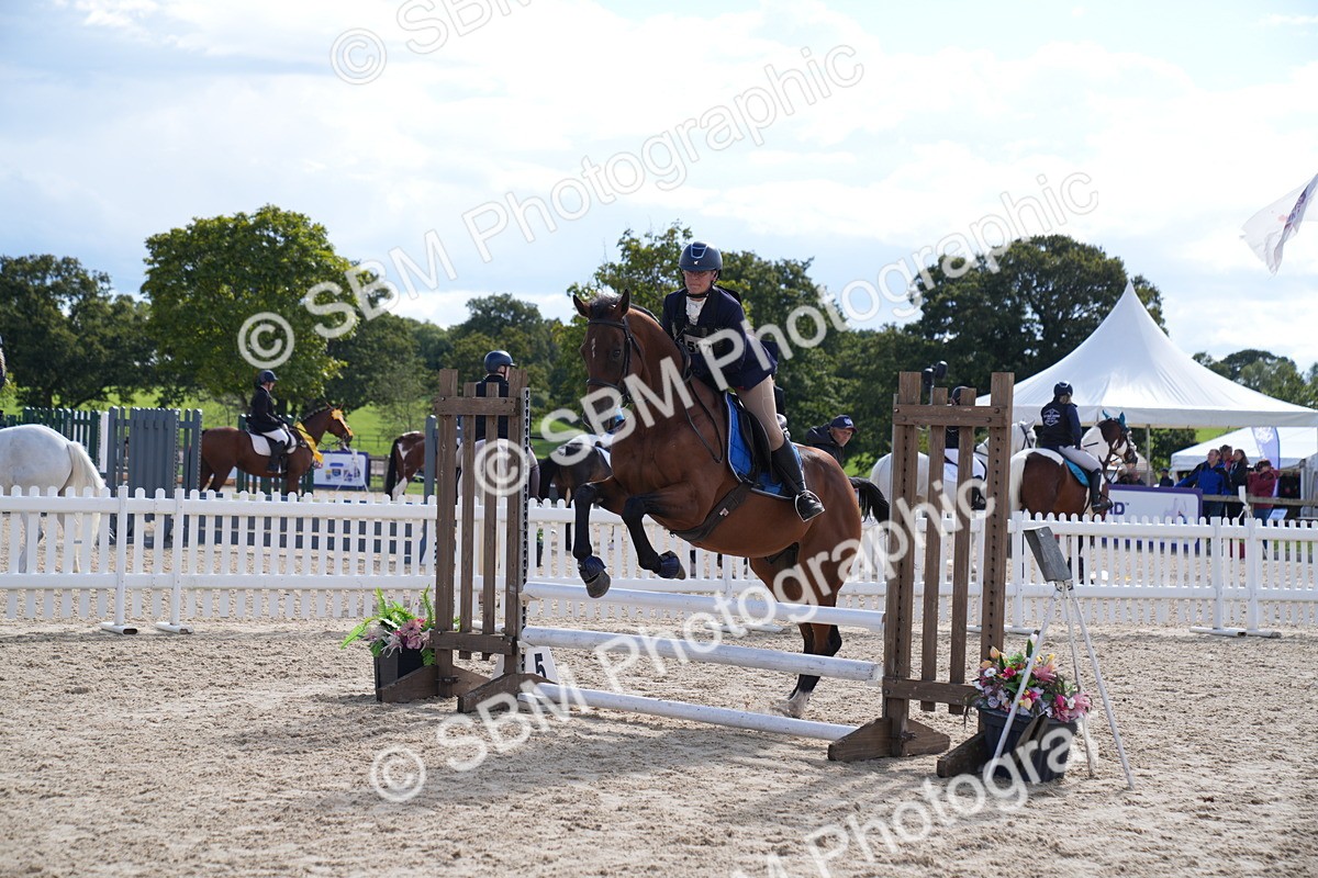 SBM_08567 - J56 Clear Round 70cm