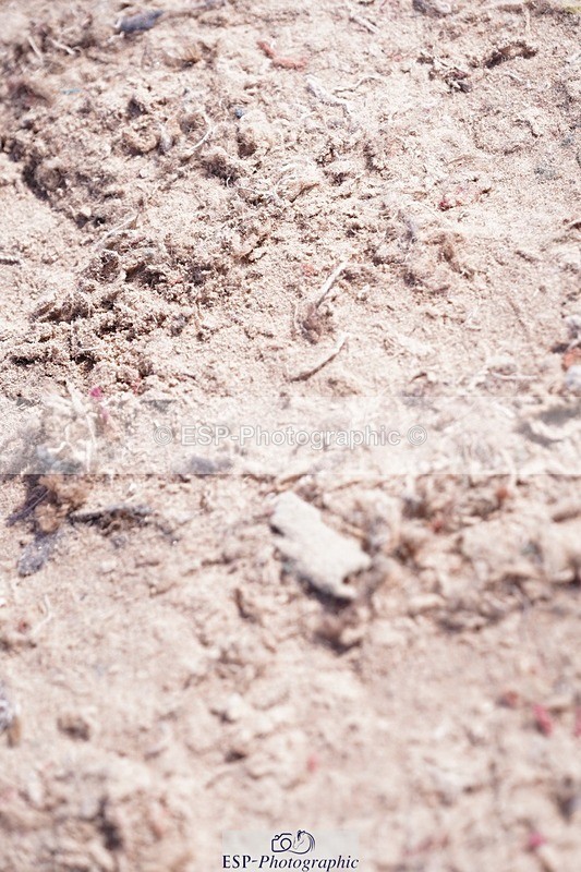 250628-160512-06324 - Cls 23 Pony Intro & 80cm Open