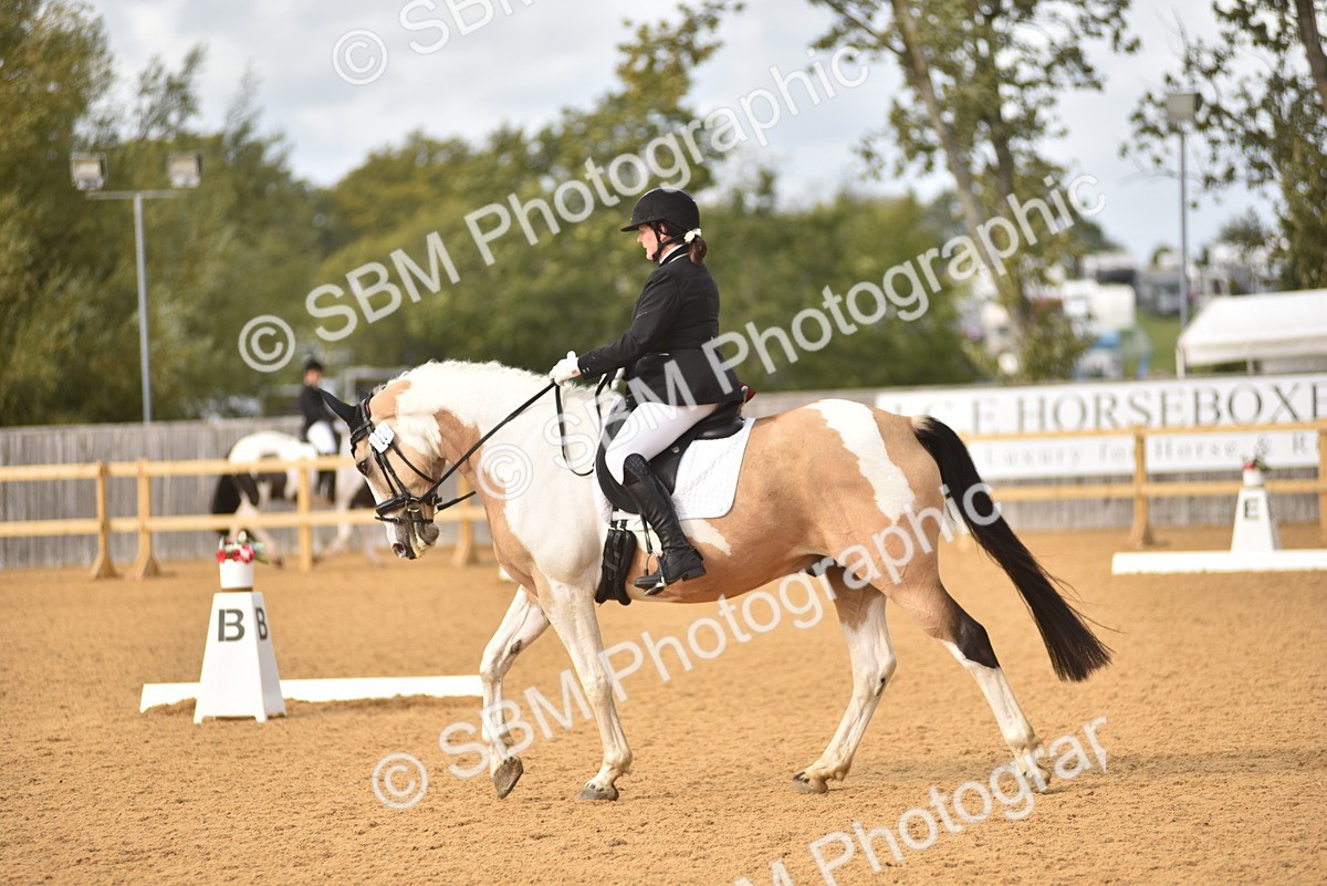 SBM_24361 - D4 - Small Tour Championship Intro 4