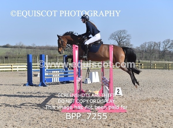 BPP_7255 - CLASS 1 Club/ Unaffiliated 80cms Open