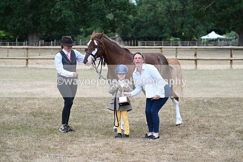 WJ7_9355 - Prettiest Mare Champs