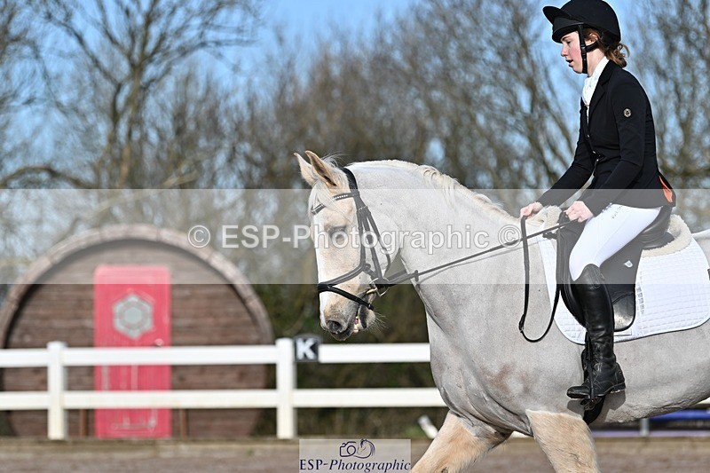 250125-111408-00291 - Dressage - CT Class 5 BE95 (90cm)