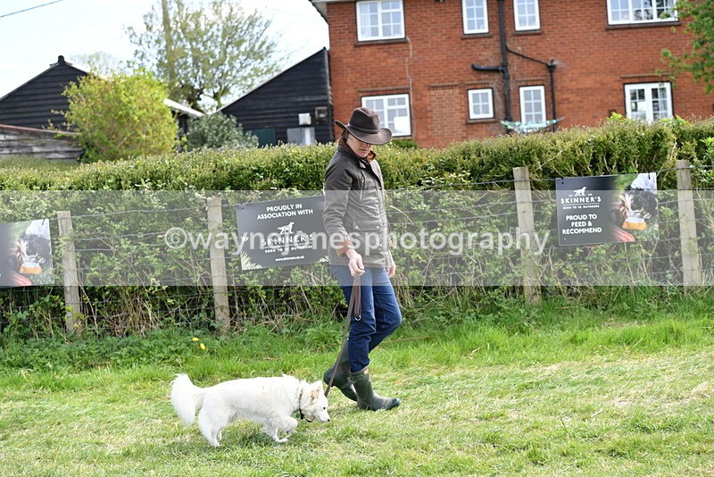 WJ5_0706 - Best in Show Championship