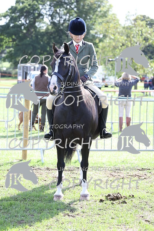 APP_3698 - Class 12 M&M ridden