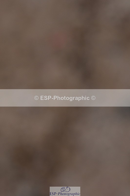 240107A-125307-01687 - UnAff Prelim 14