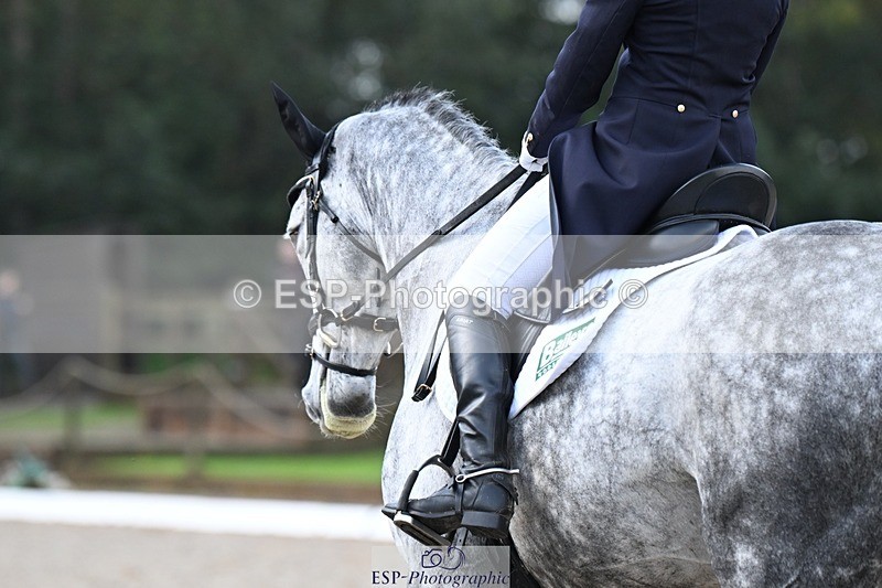 231019-094908-01228 - 028-BOLEYBAWN.COOLEY.LADY-Claire.Fielding-DR