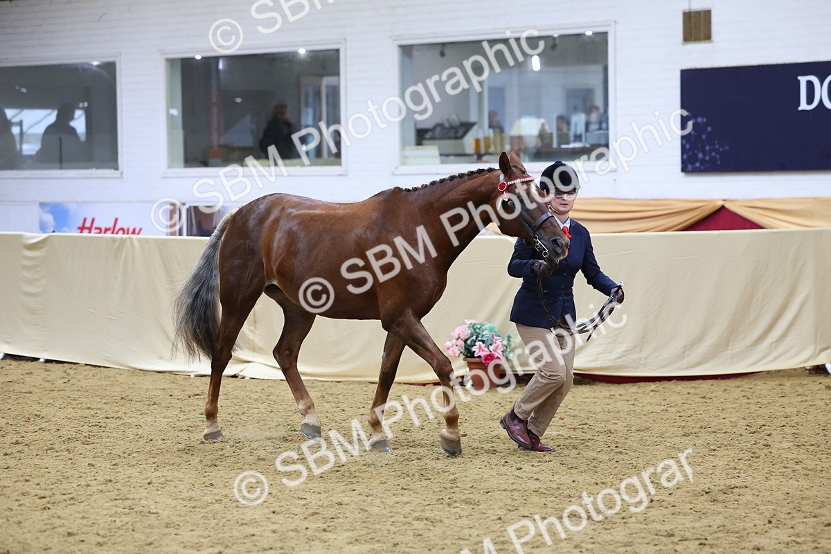 SBM_20930 - Class 902 - Supreme Final IH Veteran