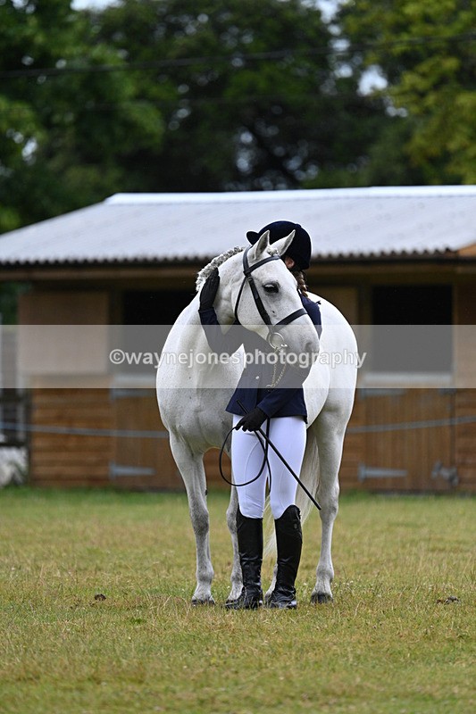 WJ7_6153 - Class 4a Prettiest Mare over 14hh