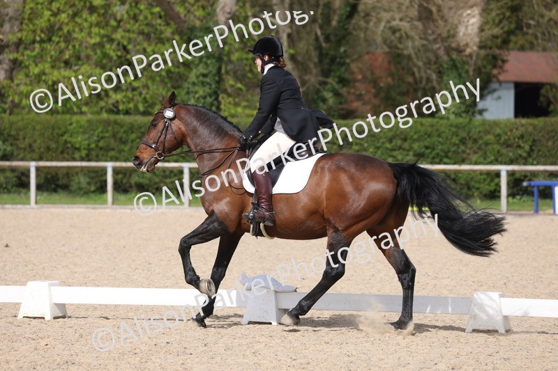 20260405-0430 - Class 4 - Novice 6