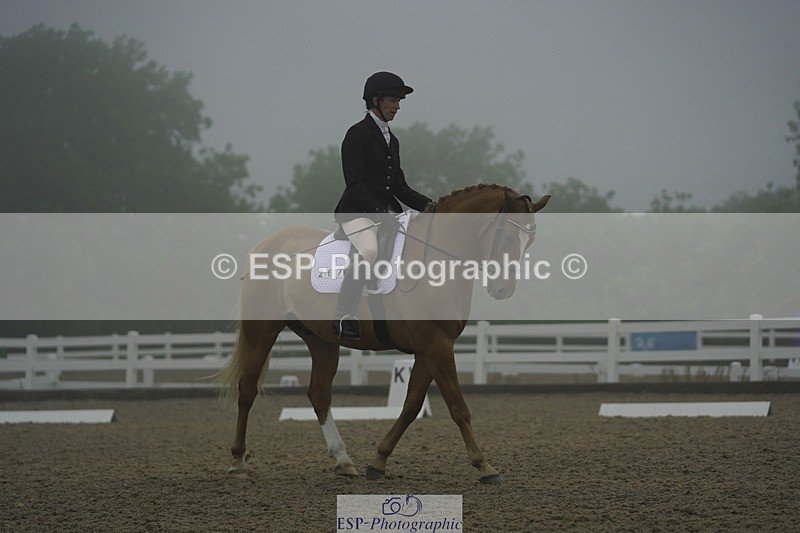 230708A-150308-03974 - Prelim 18