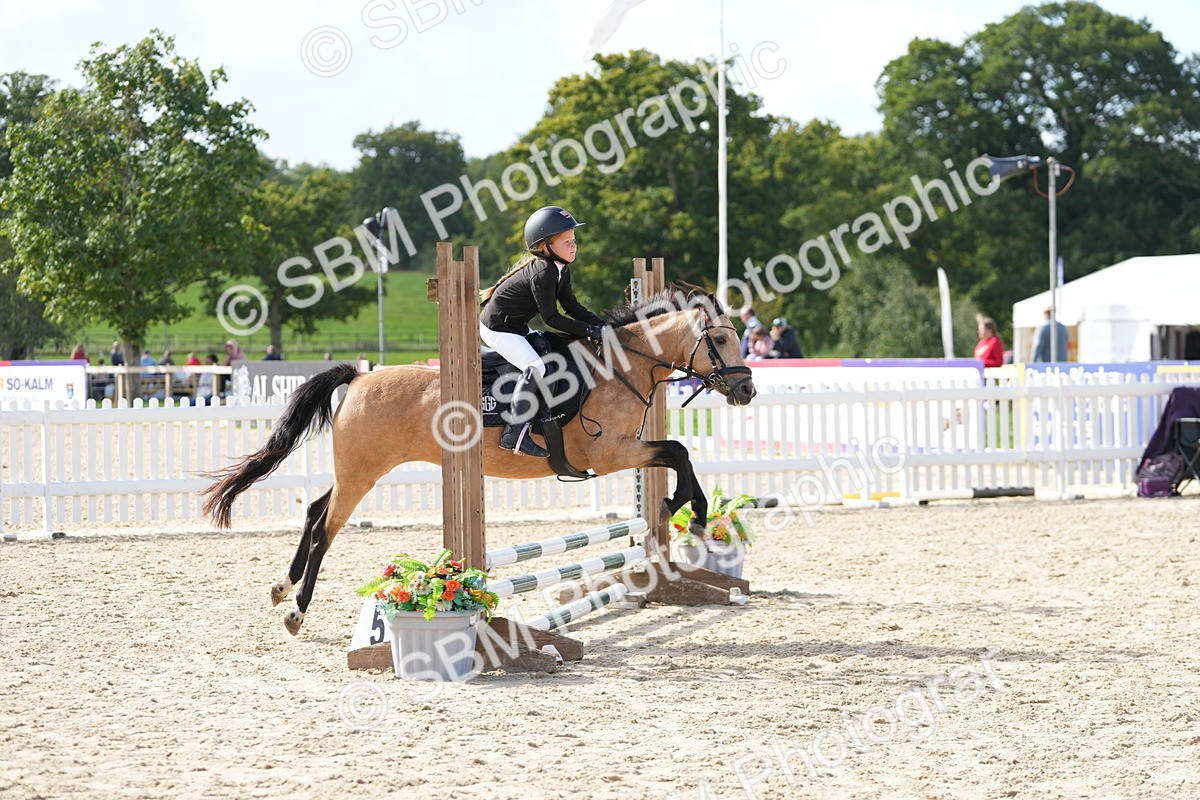 SBM_17782 - J58 - Clear Round 50cm