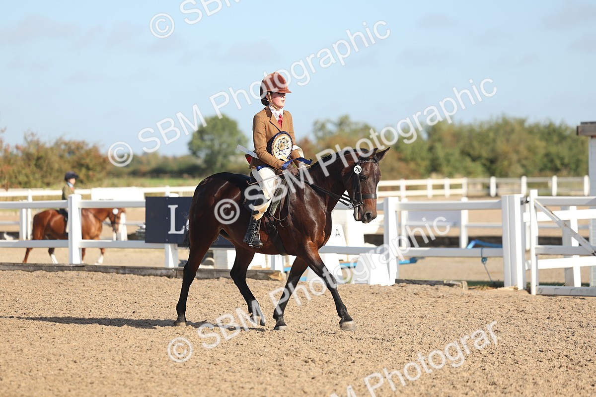 SBM_22153 - Class 801 - Ridden Veterans