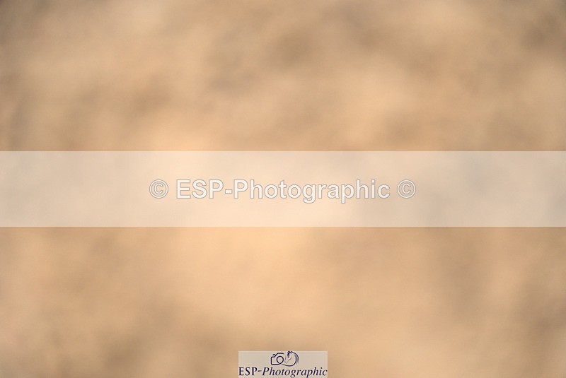 240317A-104140-04988 - Cls 25 Snr 1.20m Open