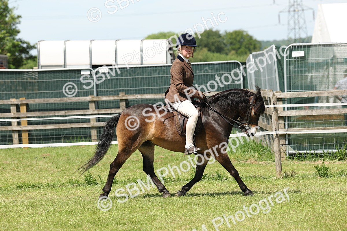 SBM_06809