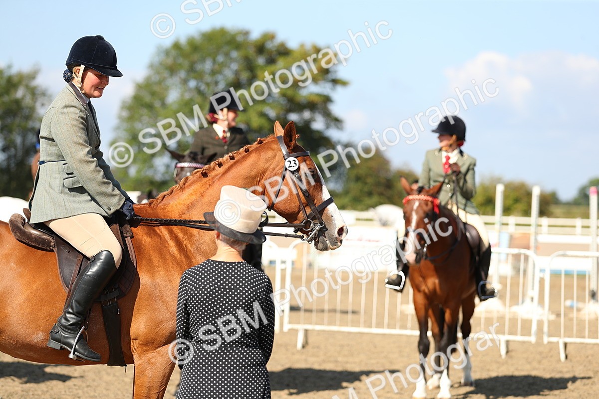 SBM_02360 - Class 43 Ridden Competition Horse/Pony