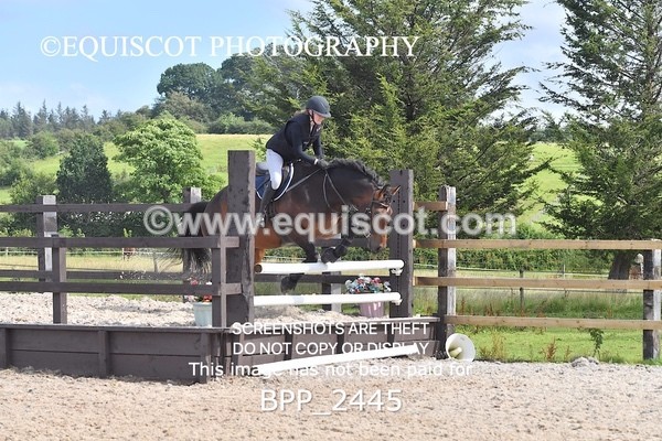 BPP_2445 - DERBY CLASS 7 - 80CM