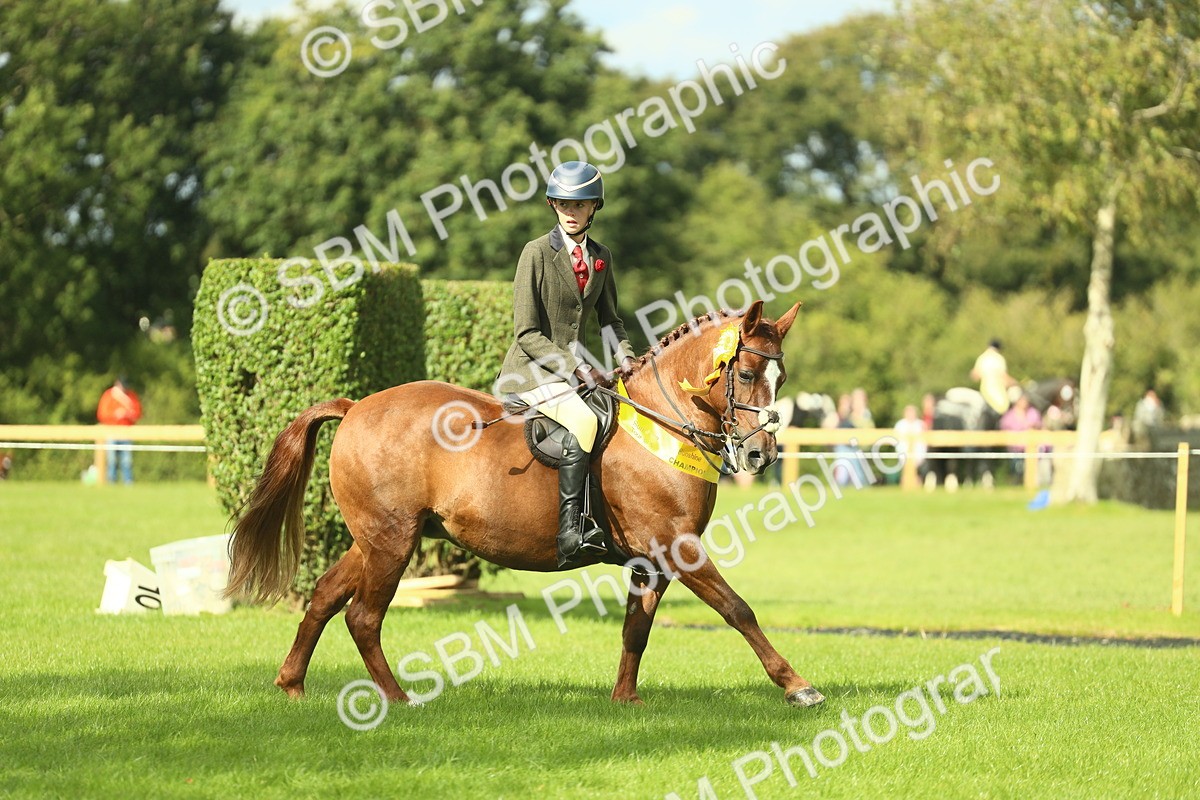 SBM_44930 - Working Hunter Pony Supreme Championship